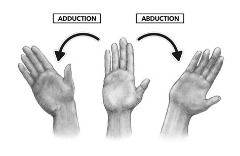 Wrist Joint Movements