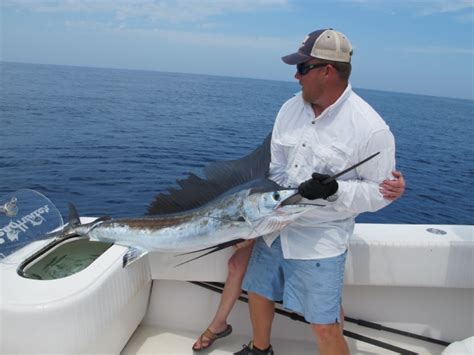 Billfish Photo Gallery - Delph Fishing Charters