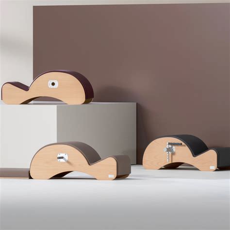 Spine Corrector with F2 – BASI Systems