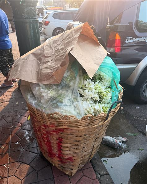 Maddii | For u: 💐 | Instagram