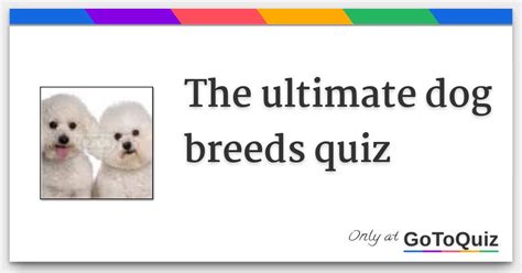 The ultimate dog breeds quiz