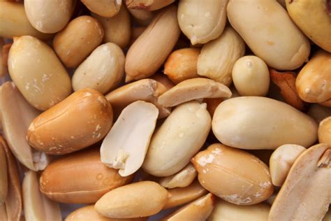 Do Peanuts Go Bad? | Phoenix Vegan Dietitian — Easily Go Vegan! | PHX ...