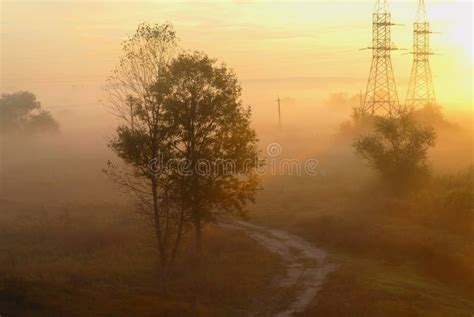 Morning Mist in Autumn Nature, Orange Sunrise Light in Background Stock ...