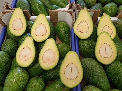 Avo Box Each | Veg and More Fruit and Veg