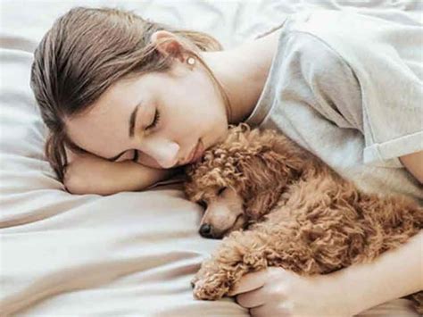 [100+] Cuddle Pictures | Wallpapers.com