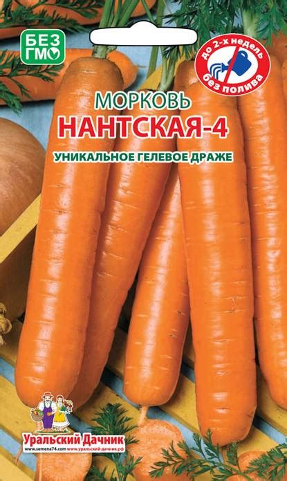 Сорт моркови Нантская: описание, разновидности, сроки созревания и ...