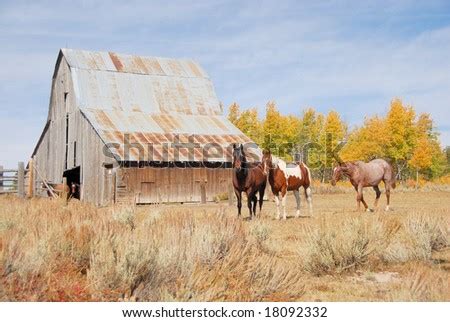 ranch barn horses stock photo edit   shutterstock