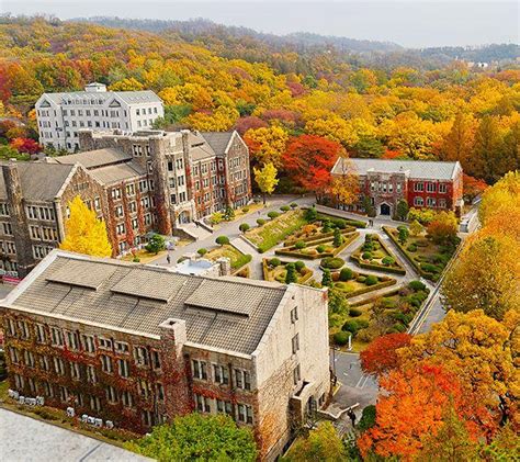 Creatrip: Top 7 Autumn Korean University Campus Spots - Seoul/Korea ...