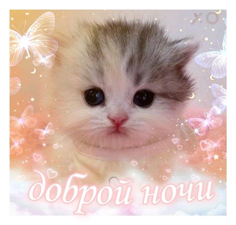Доброй ночи | Ночь, Милые котики, Спокойной ночи