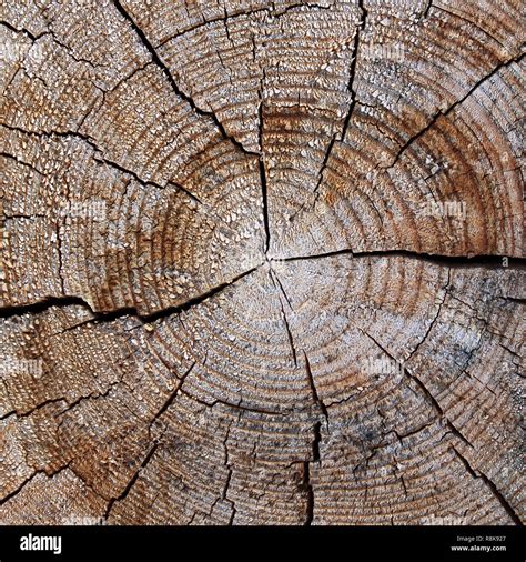 natural wood texture