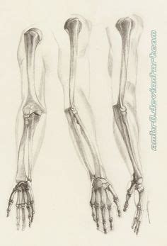 Skeleton Arm Drawing at PaintingValley.com | Explore collection of ...