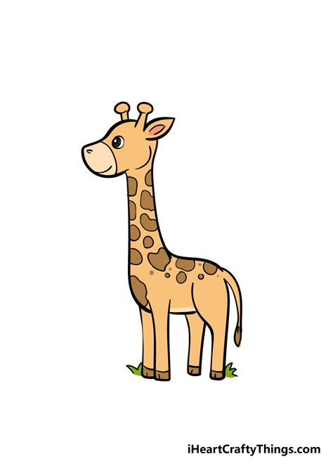 Giraffe Drawing - How To Draw A Giraffe Step By Step