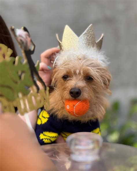 Randy | A message for Santa: I see that you bypassed security detail