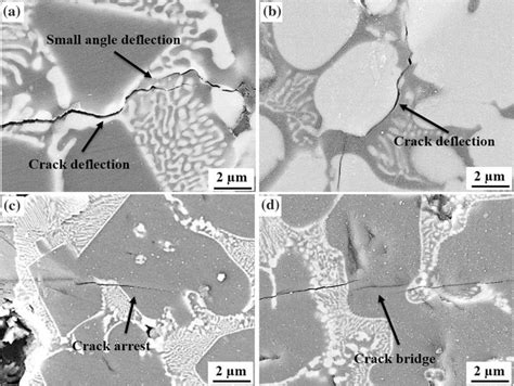 crack deflection arrest  bridging  crack deflection