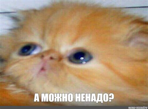 Meme: "А МОЖНО НЕНАДО?" - All Templates - Meme-arsenal.com