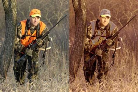 Can Deer see Color or are they Colorblind? Deer Vision Explained 2023