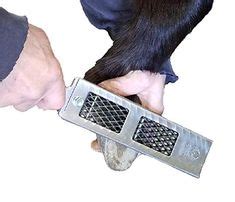8 Best Hoof Rasp for Horses ideas | hooves, horses, strong hand tools