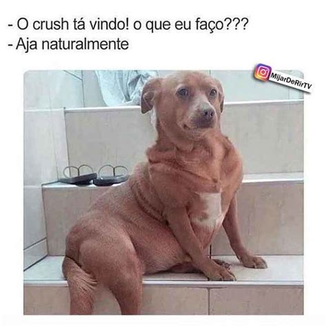 45 memes super engraçados para rir - DPopular