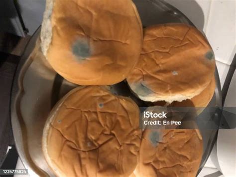 roti molted  busuk  jamur tergeletak  atas baja foto