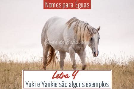 Nomes Para Éguas Brancas - 350+ NOMES PARA ÉGUAS LINDOS E ELEGANTES
