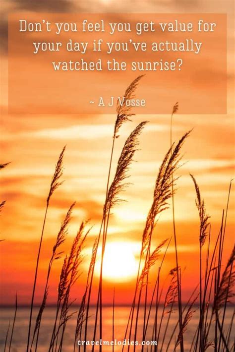 famous quotes  sunrise  sunrise quotes  brighten  day