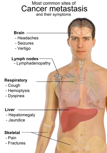 American Cancer Institute