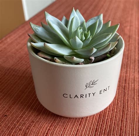 Clarity ENT | Spring House PA
