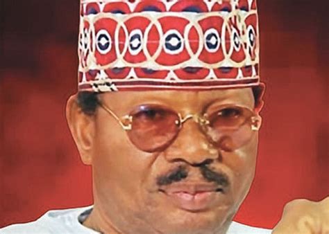 omole unveils foundation  nation newspaper