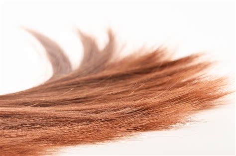 piece hair images    freepik