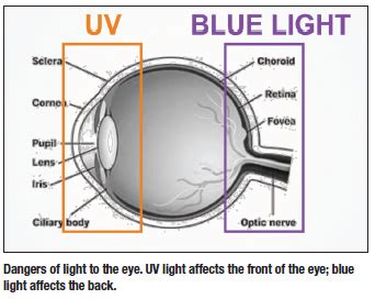 Lesson: The Lowdown on Blue Light: Good vs. Bad, and Its Connection to AMD