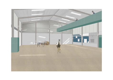 Irish Arts Review — Jenny Maguire