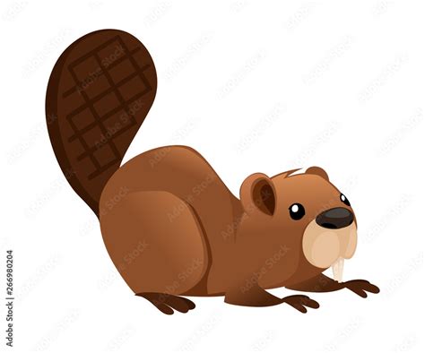 Cute brown beaver sitting. Cartoon character design. North American ...