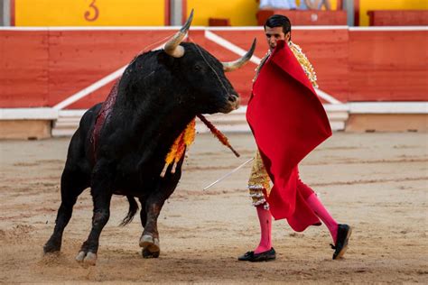 Bullfighting | The Beet