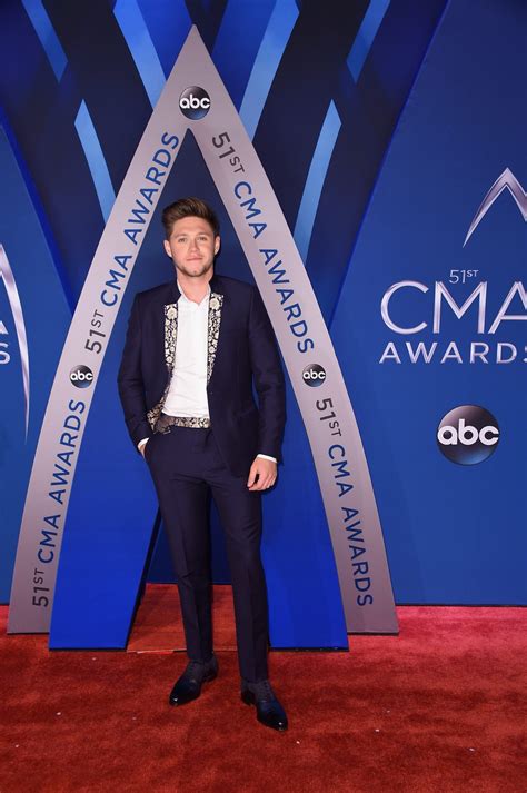 Niall Horan on Alleged Naked Photo: Not Me!