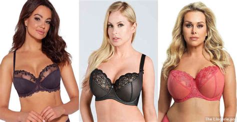 Best Plus Size Lingerie Brands – The Lingerie Pro