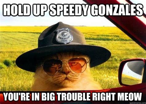 Hold up Speedy Gonzales You're in big trouble right meow - Officer Cat ...