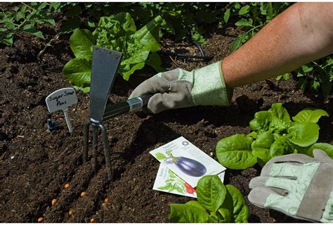 Hand Cultivator Guide: 5 Top Choices for Your Garden | TopTillers.com