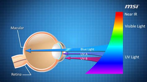 How does blue light affect your brain? | IrisTech