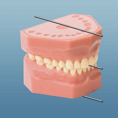 ness visual dictionary