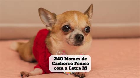 Animais Com A Letra M - 8