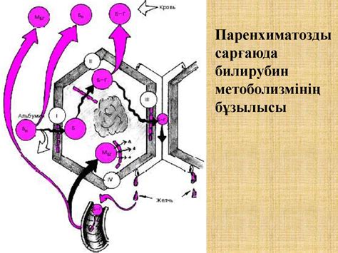 Сарғаю синдромы - презентация онлайн
