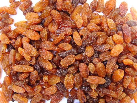 organic raisins  health benefits  organic rasins health