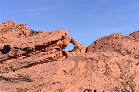 Nevada pet loss therapists, support groups, and grief hotlines – Resources