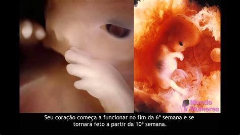 Como Faz O Bebe - GRAVIDEZ PASSO A PASSO DO DESENVOLVIMENTO DO SEU BEBÊ - YouTube