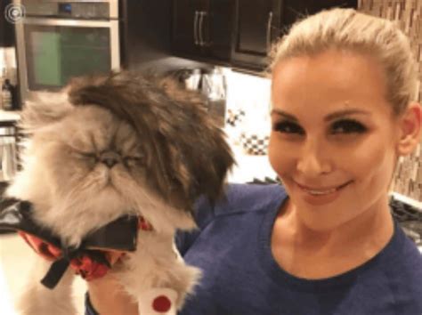 Natalya says her cat is more helpful than former WWE Women's Champion after she goes into a ...