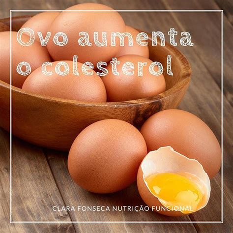 O Ovo Aumenta O Colesterol - Ovo aumenta o Colesterol?
