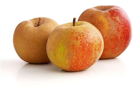 Eine Liebeserklärung an den Apfel - Gastronomie - Badische Zeitung