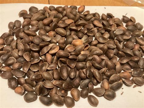 We explain how to apply your UPS coupon code during the checkout phase 5