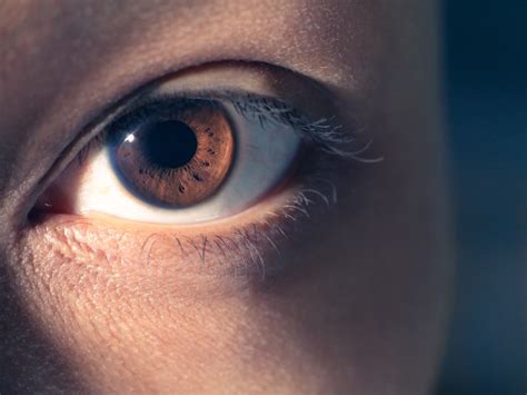 eyes  limbal rings   attractive study finds