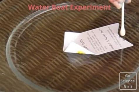 7 Surface Tension Experiments To Try With Kids